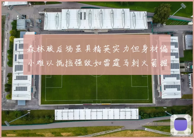 森林狼后场虽具精英实力但身材偏小难以抵挡强敌如雷霆马刺火箭掘金